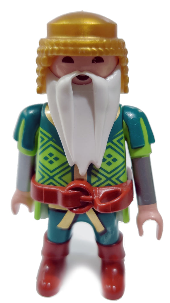 Playmobil 30 00 3113 30003113 Dwarf 5493 Advent Calendar Dragon`s Treasure Battle