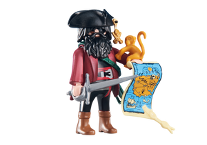 Playmobil 6433 Pirate Captain with Map Monkey Scroll Treasure map